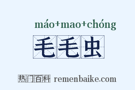 毛毛虫是什么意思的图片